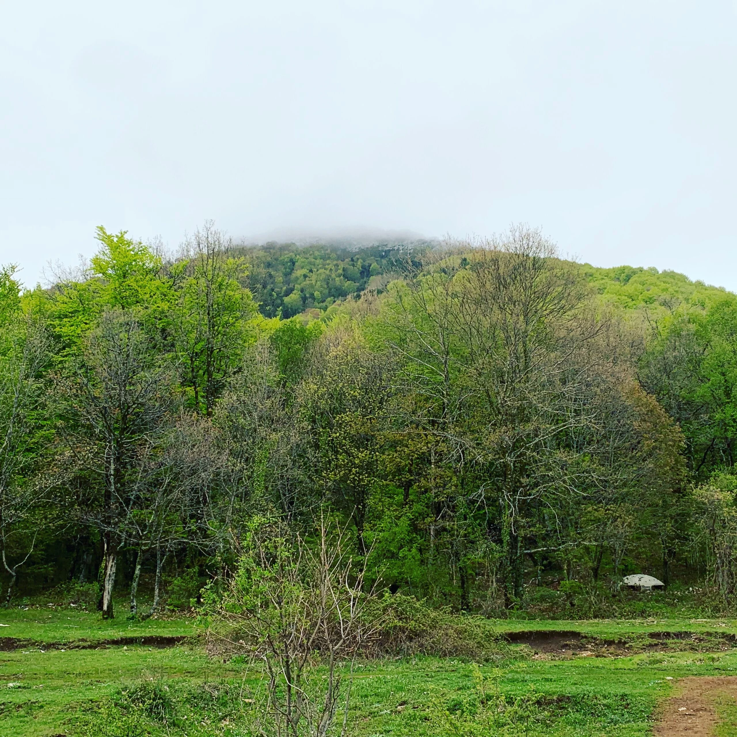 Dajti National Park